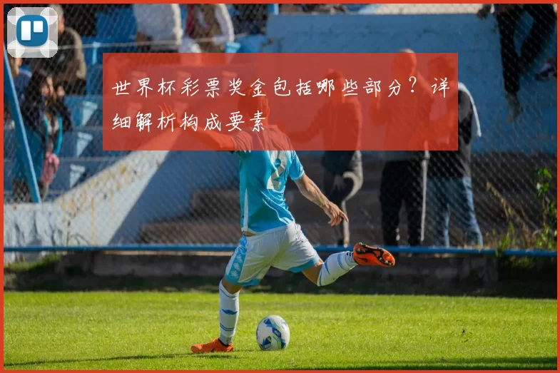 世界杯彩票奖金包括哪些部分?详细解析构成要素