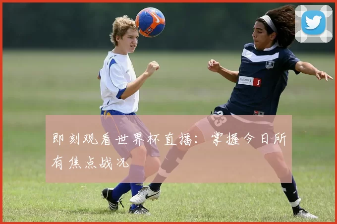 即刻观看世界杯直播：掌握今日所有焦点战况