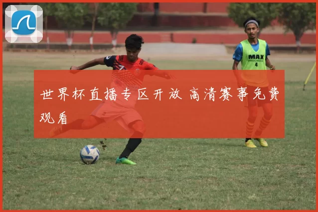 世界杯直播专区开放 高清赛事免费观看