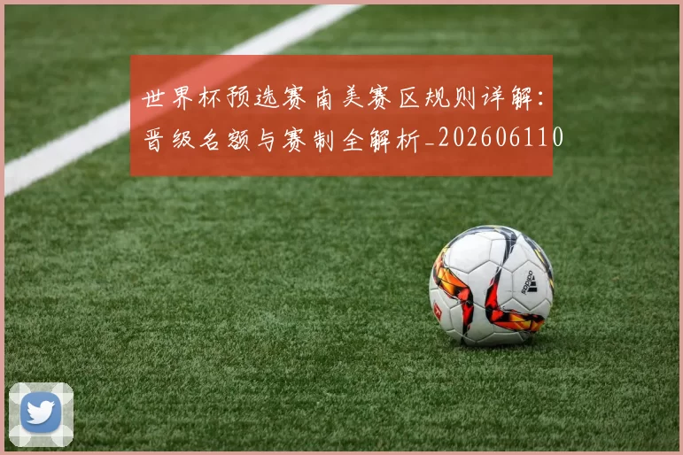 世界杯预选赛南美赛区规则详解:晋级名额与赛制全解析_20260611092549