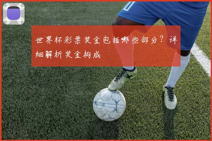 世界杯彩票奖金包括哪些部分?详细解析奖金构成