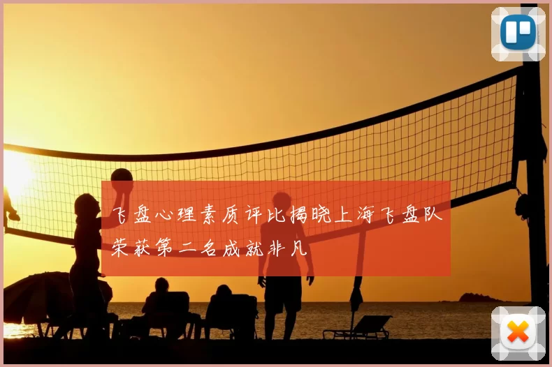 飞盘心理素质评比揭晓上海飞盘队荣获第二名成就非凡