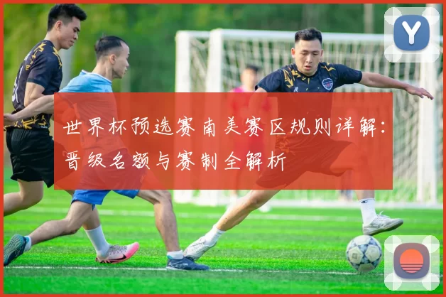 世界杯预选赛南美赛区规则详解:晋级名额与赛制全解析