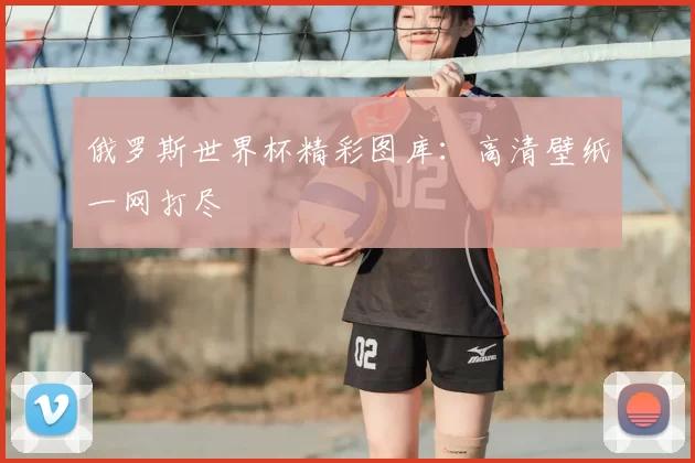 俄罗斯世界杯精彩图库：高清壁纸一网打尽