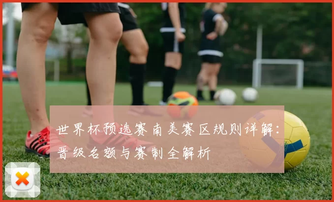 世界杯预选赛南美赛区规则详解：晋级名额与赛制全解析