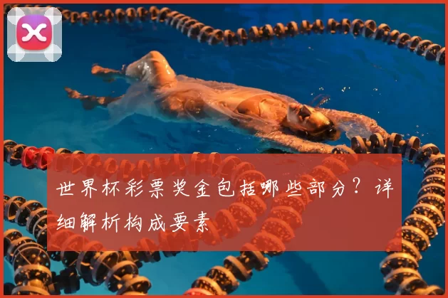 世界杯彩票奖金包括哪些部分?详细解析构成要素